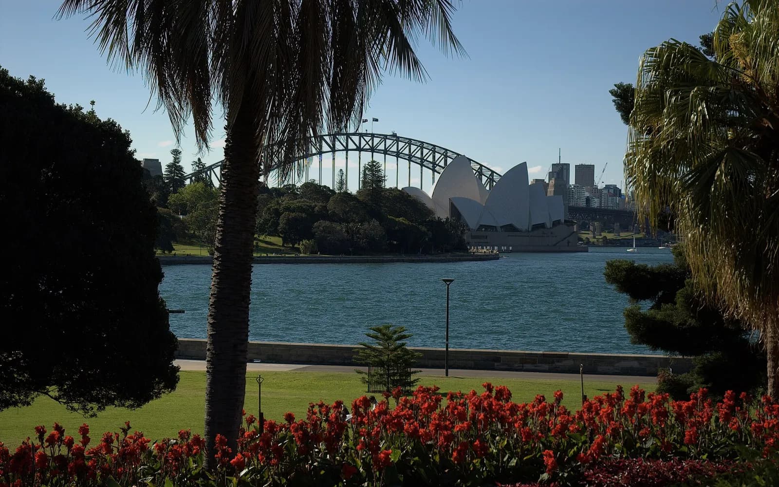 The Harbour Bridge and Opera House seen from the Royal Botanic Garden