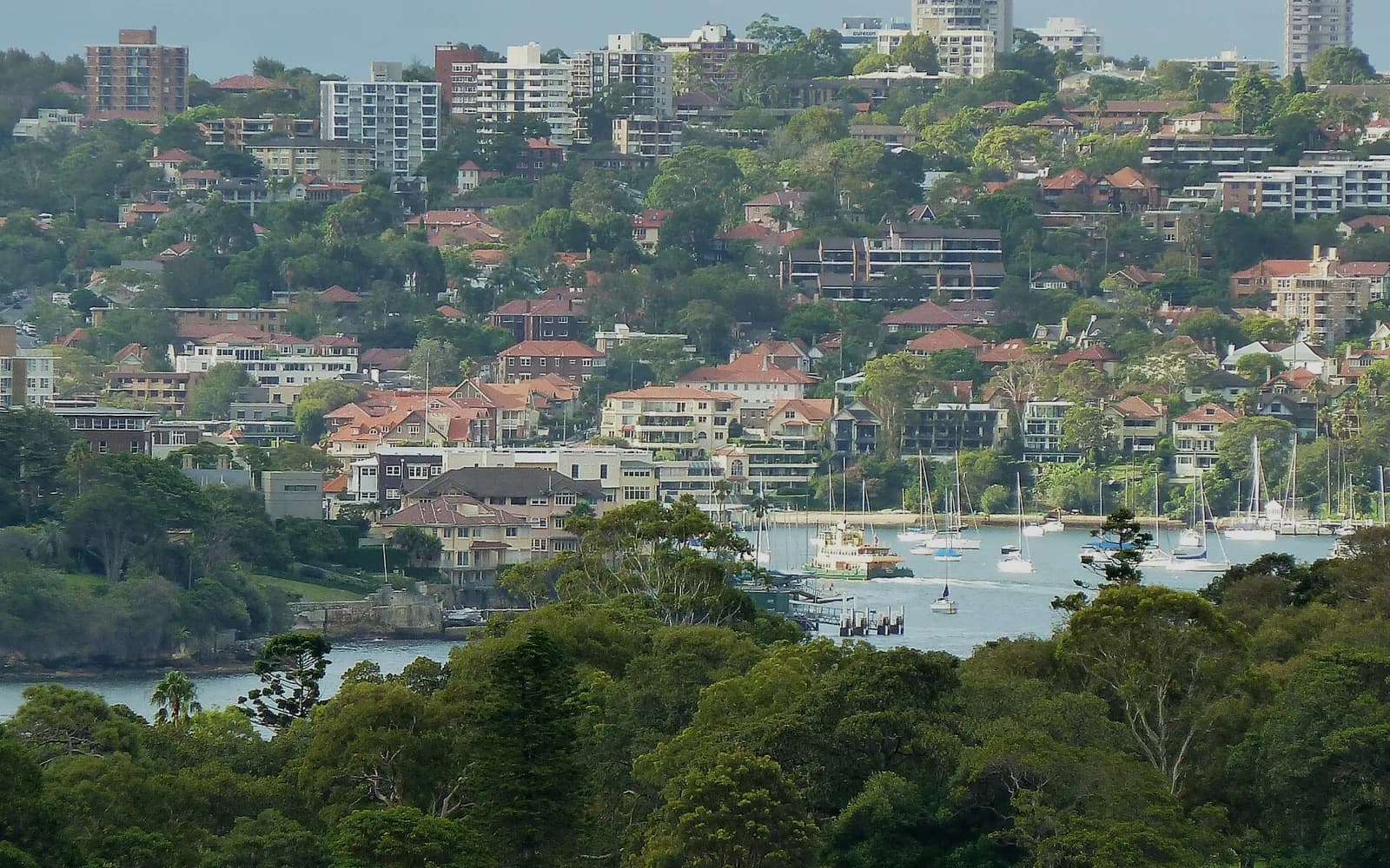 Neutral Bay on Sydney's Lower North Shore, homes above a harbour inlet