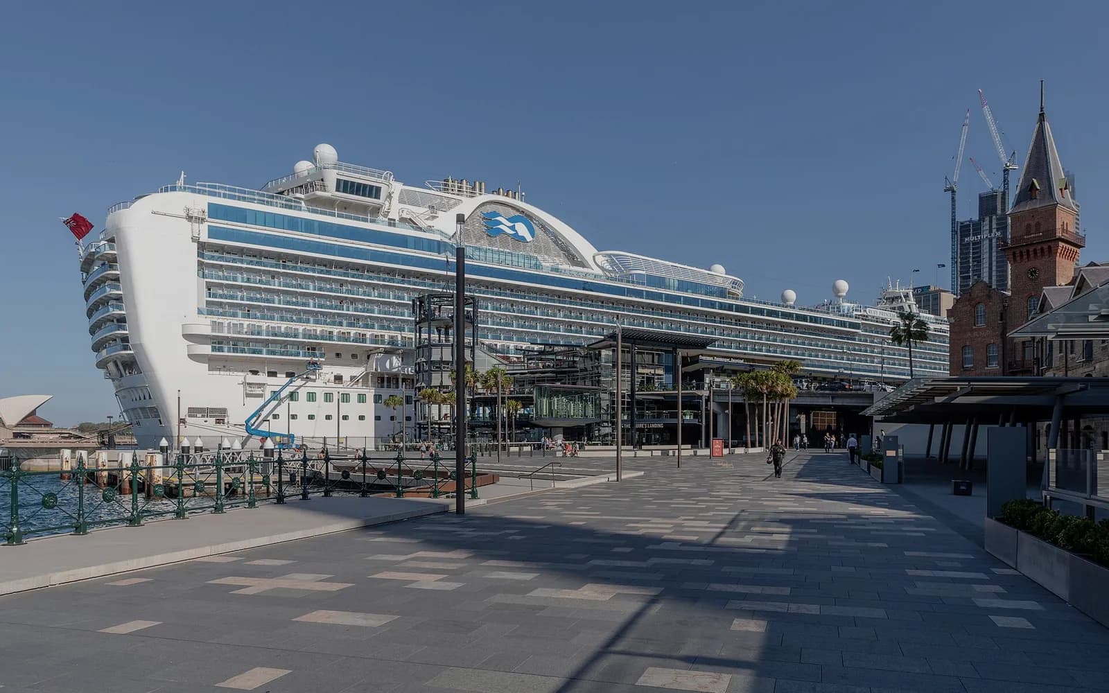 A cruise ship berthed at the Overseas Passenger Terminal on Sydney Harbour